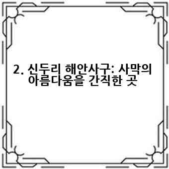 2. 신두리 해안사구: 사막의 아름다움을 간직한 곳