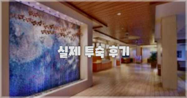 💬 실제 투숙 후기
