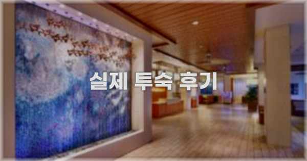 💬 실제 투숙 후기