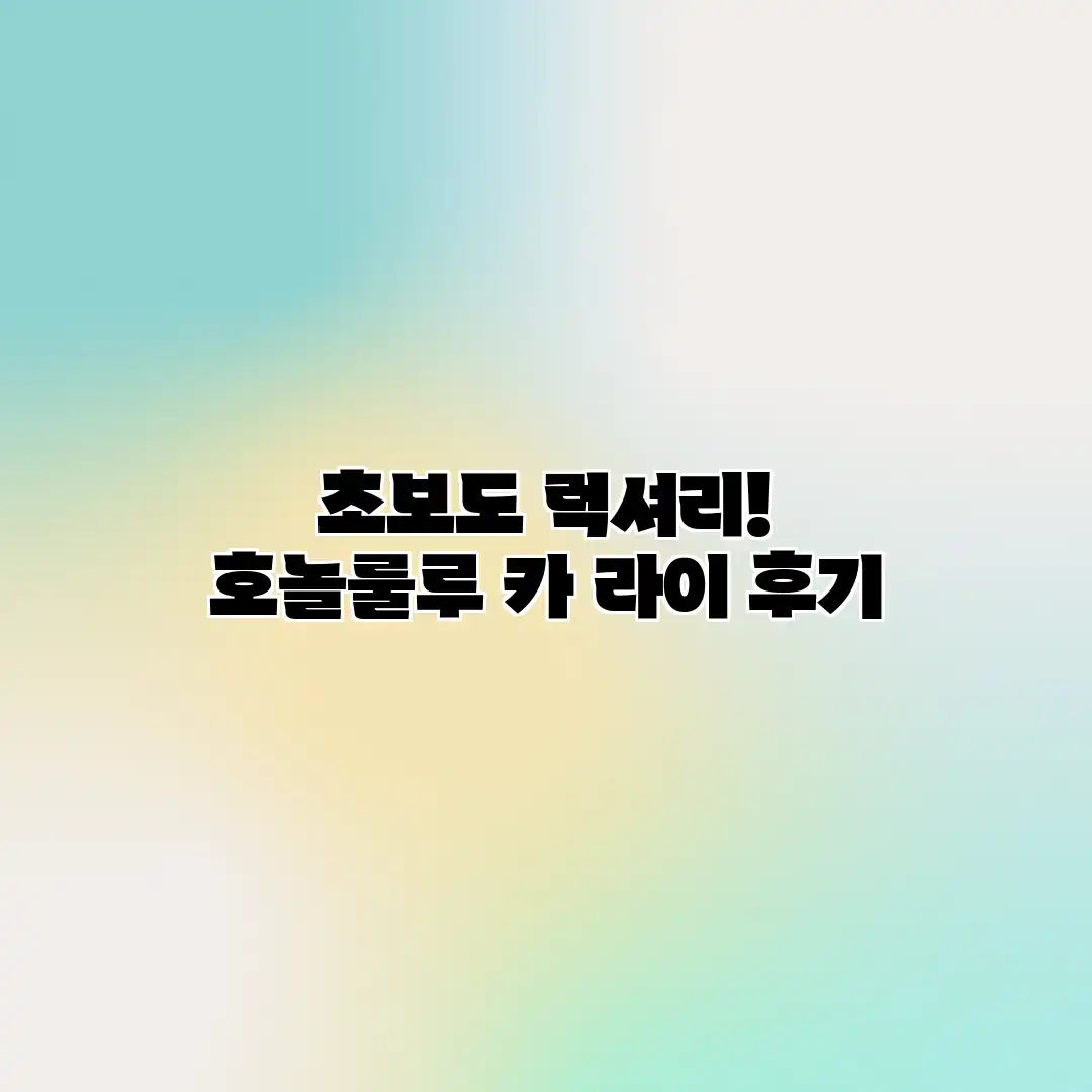 초보도 럭셔리! 호놀룰루 카 라이 후기