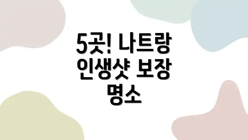 5곳! 나트랑 인생샷 보장 명소